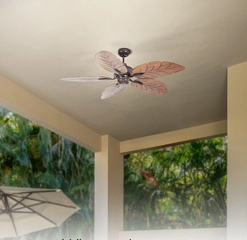 Ceiling fan Cooya D52 AC BR